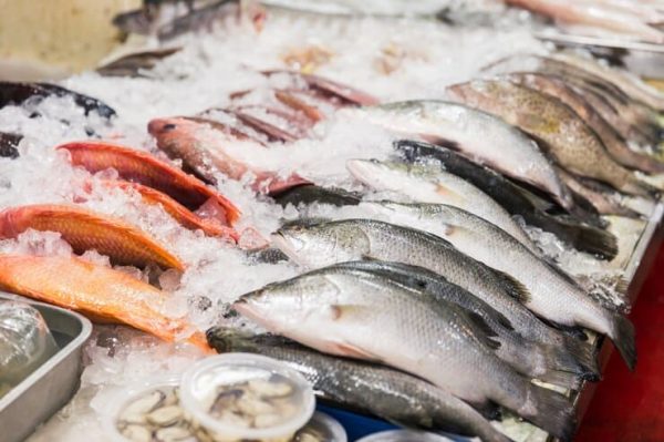 Poissons Congelés